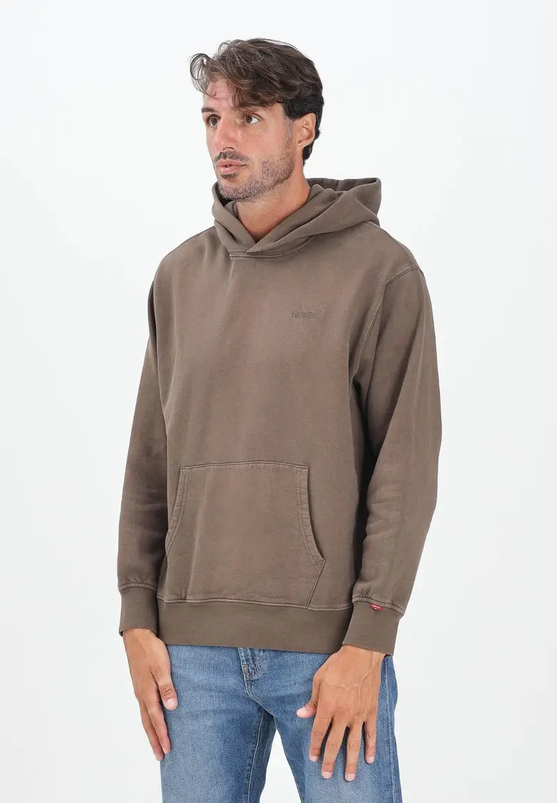 Felpa con cappuccio Authentic marrone da uomo