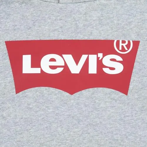 Levi's Lvb Batwing Screenprint Hoodie, Felpa con Cappuccio Bambini e ragazzi, Grigio (Grey Heather), 14 anni miniatura 3