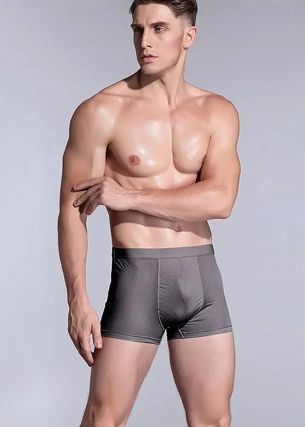 LILYSILK Boxer Uomo Grigio 2832473