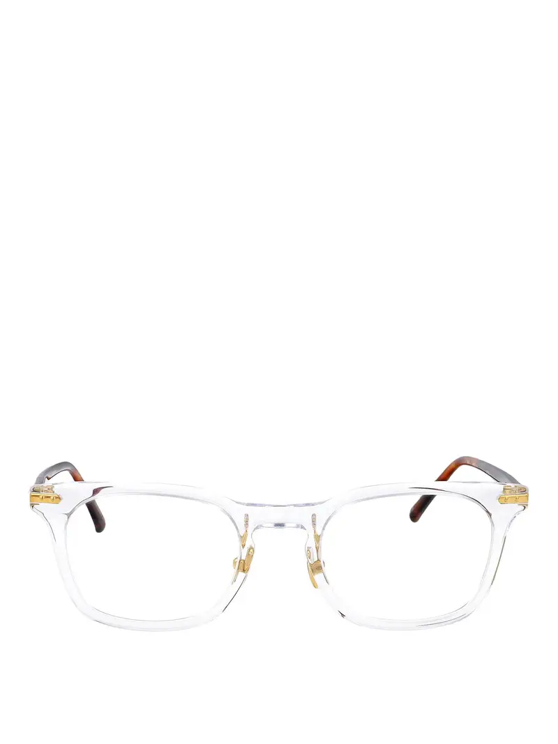 Occhiali da falco Nessuno