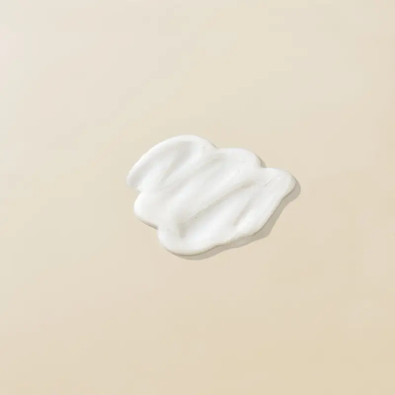 No Frizz No Frizz Shampoo - Capelli secchi miniatura 2