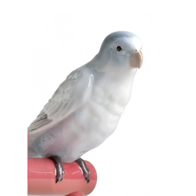 PARROT LIGHT miniatura 2