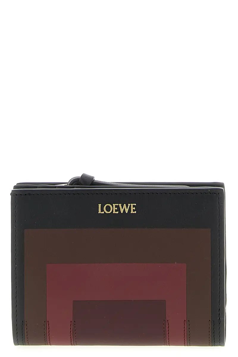 Portafoglio Loewe X Albers Multi