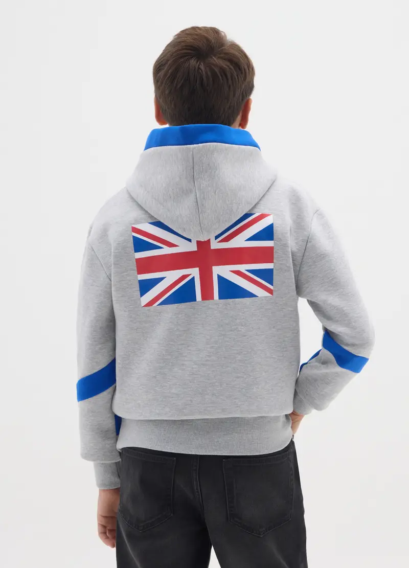 Felpa Da Bambino In Misto Cotone Grigia Regular Fit Con Cappuccio, Multicolor miniatura 2