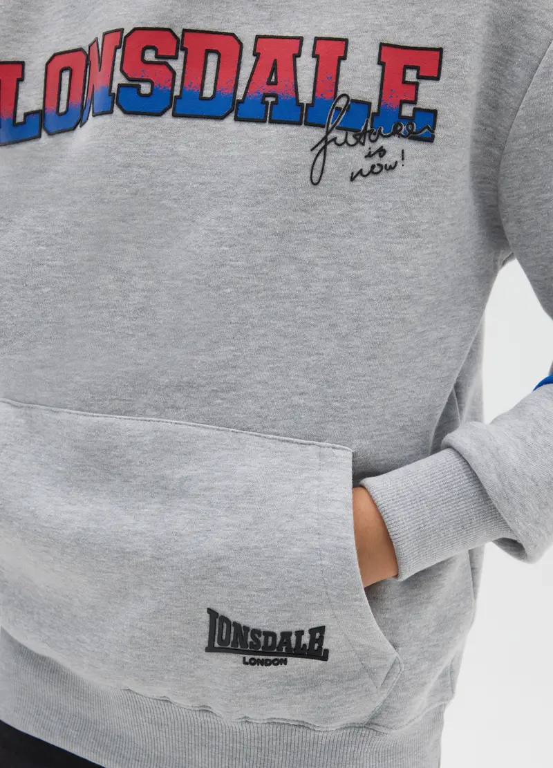 Felpa Da Bambino In Misto Cotone Grigia Regular Fit Con Cappuccio, Multicolor miniatura 3