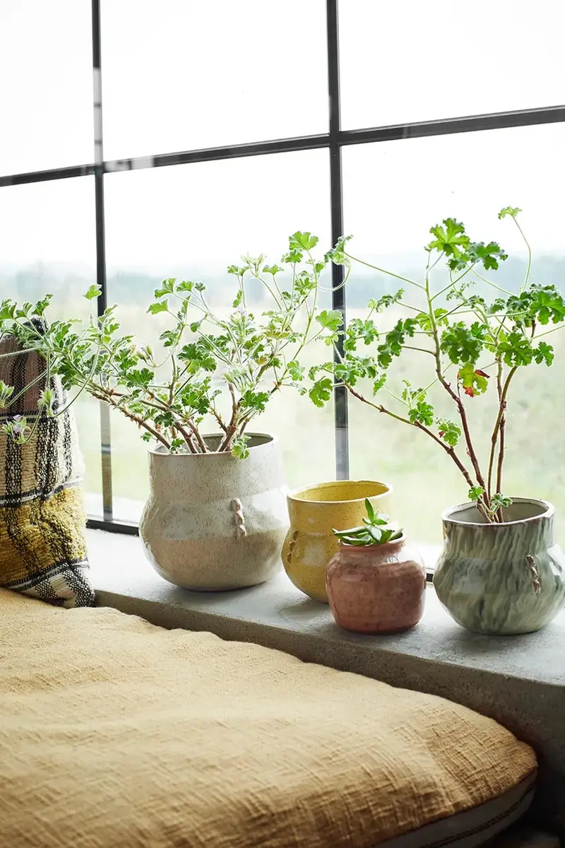 matterasso Multicolore miniatura 4