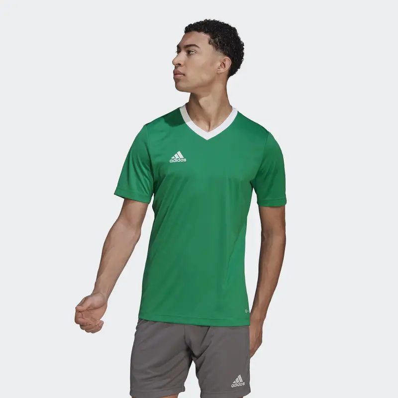 Maglia Entrada 22 |  Adidas