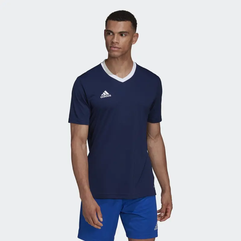 Maglia Entrada 22 |  Adidas