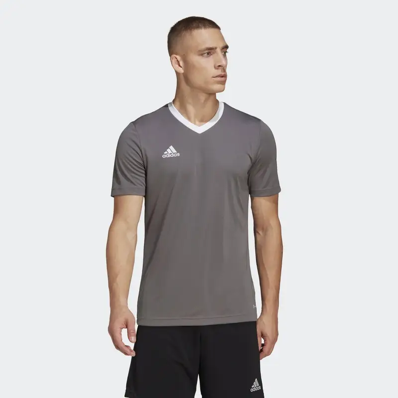 Maglia Entrada 22 |  Adidas
