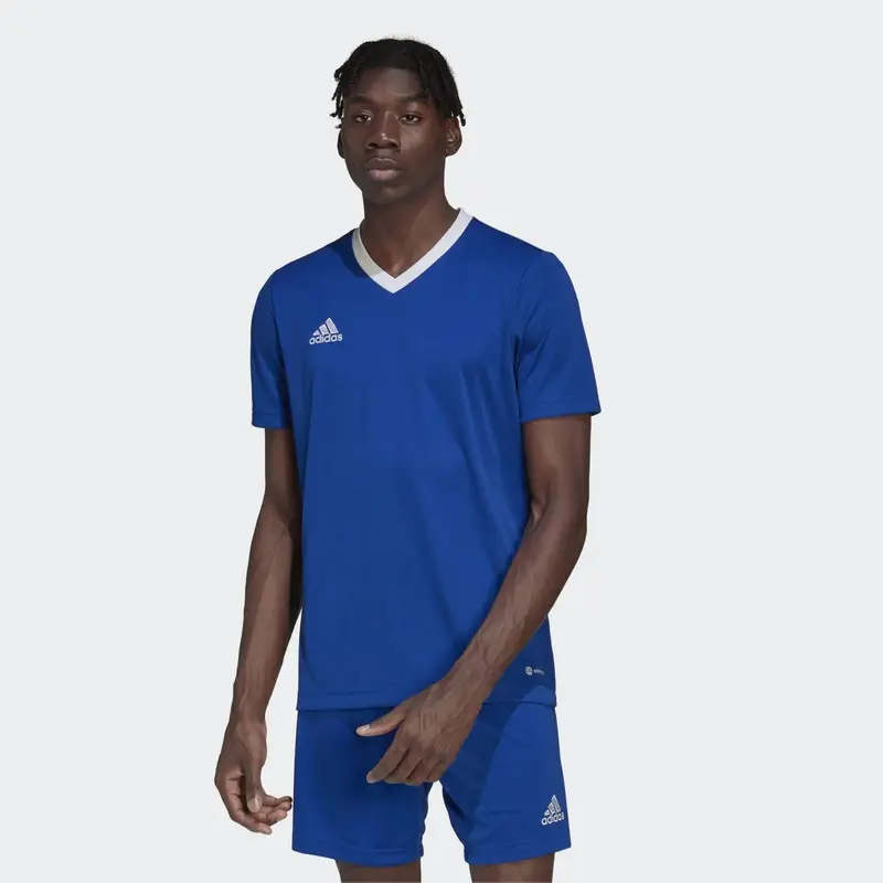 Maglia Entrada 22 |  Adidas