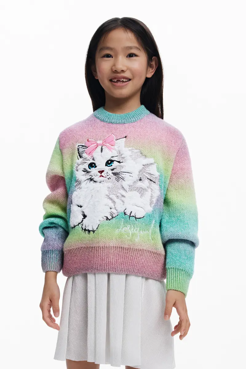 Maglione arcobaleno gatto