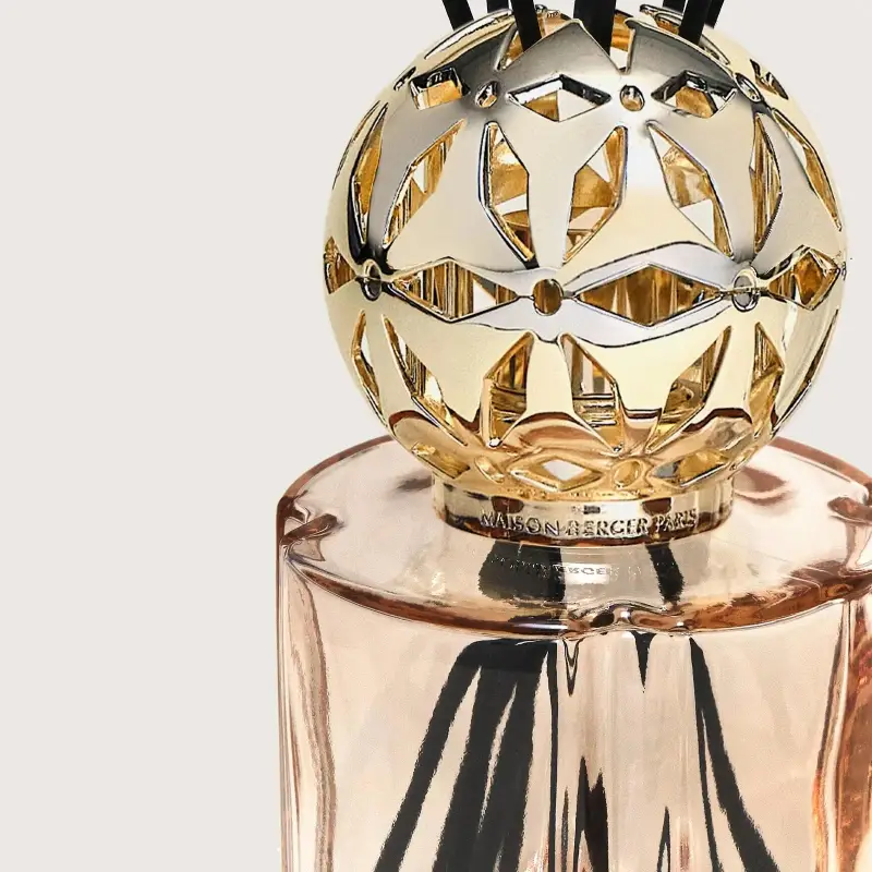 Bouquet Parfumé Cofanetto POMELIS - Nude - Diffusori di profumo, Profumo casa miniatura 4