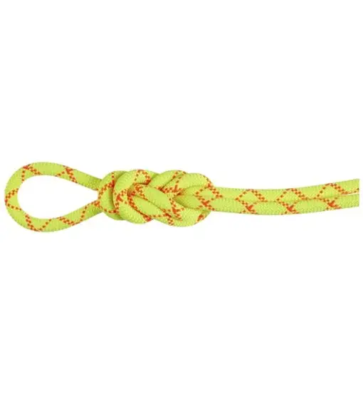 9.5 Alpine Core Protect Dry Rope - corda singola Yellow