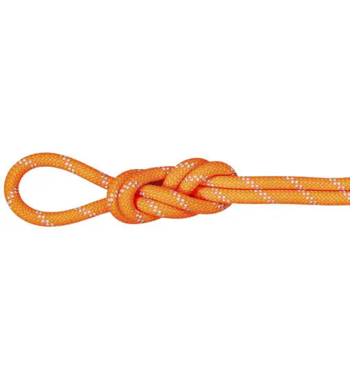 Alpine Dry 9.5 mm - corda singola Orange