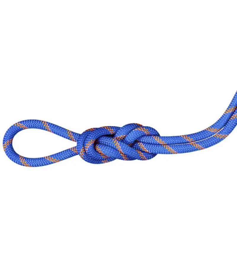 Alpine Sender Dry 9.0 mm - corda singola/mezza/gemella Blue