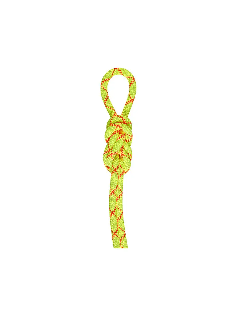 Corda 9 5 Alpine Core Protect Dry Rope 60m giallo