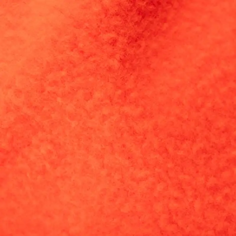 Mammut Gym Basic Chalk Bag mello taglia unica miniatura 2