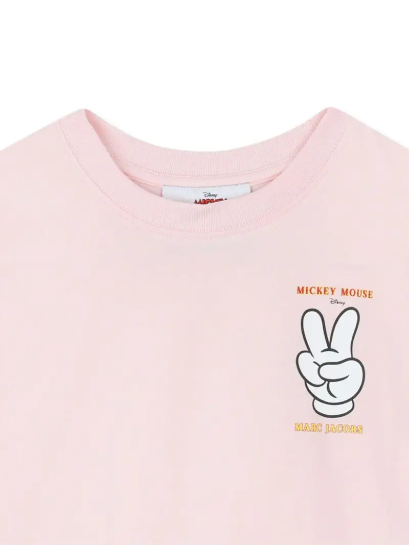 W60691475 Rosa miniatura 3