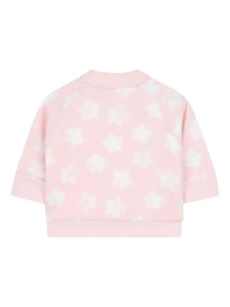 W60693475 Rosa miniatura 2