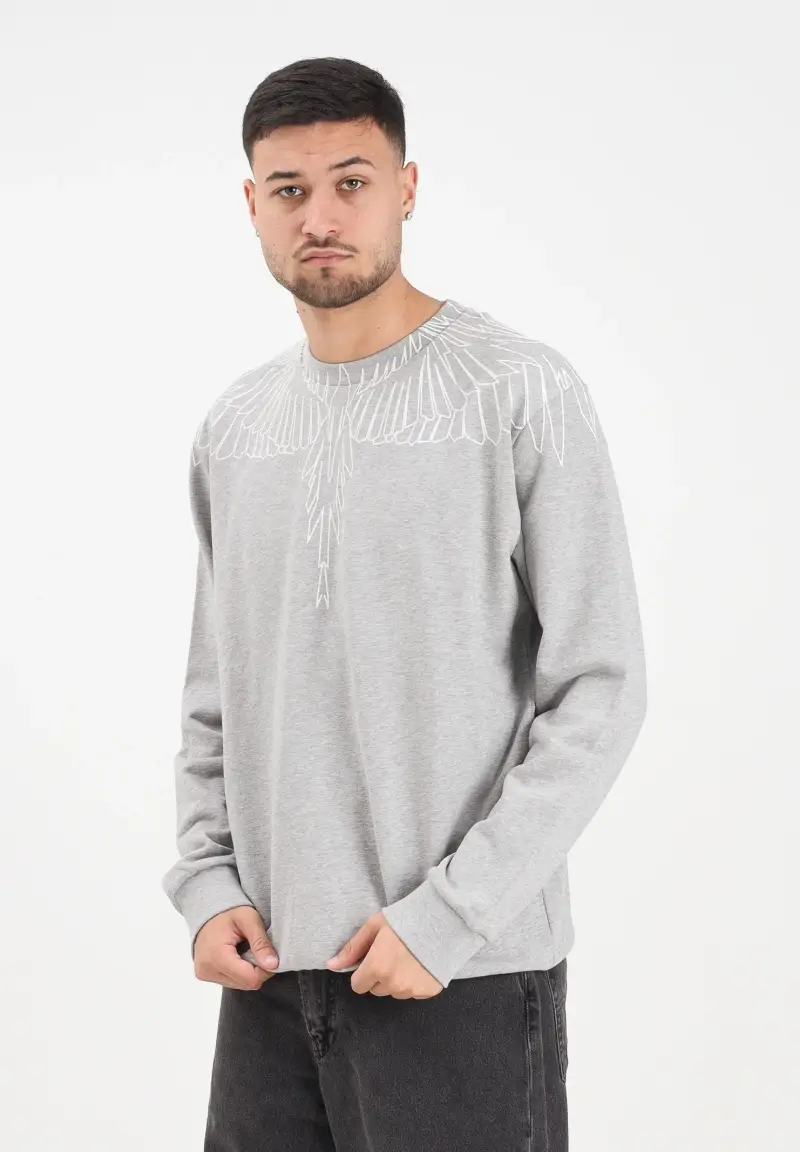 Felpa girocollo grigia da uomo con grafica ali miniatura 2