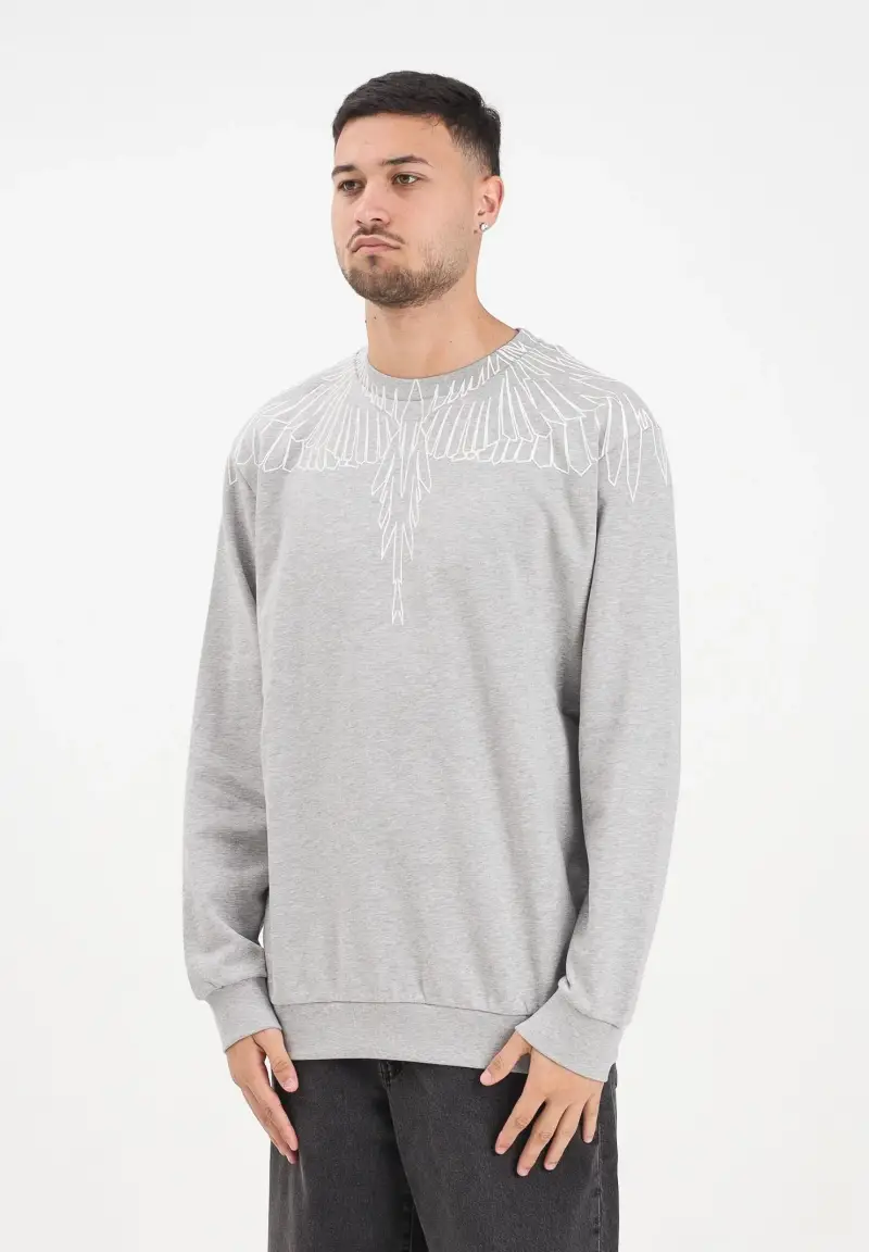 Felpa girocollo grigia da uomo con grafica ali