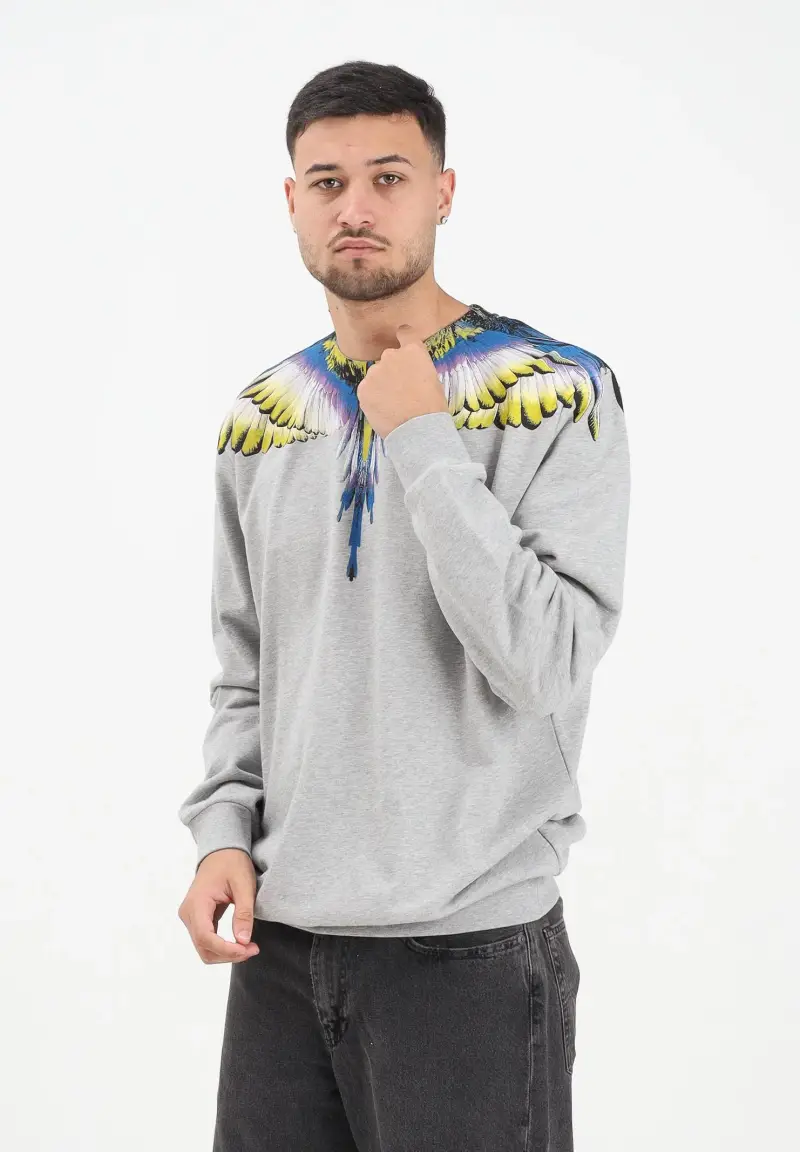 Felpa girocollo grigia da uomo con stampa ali multicolore miniatura 2