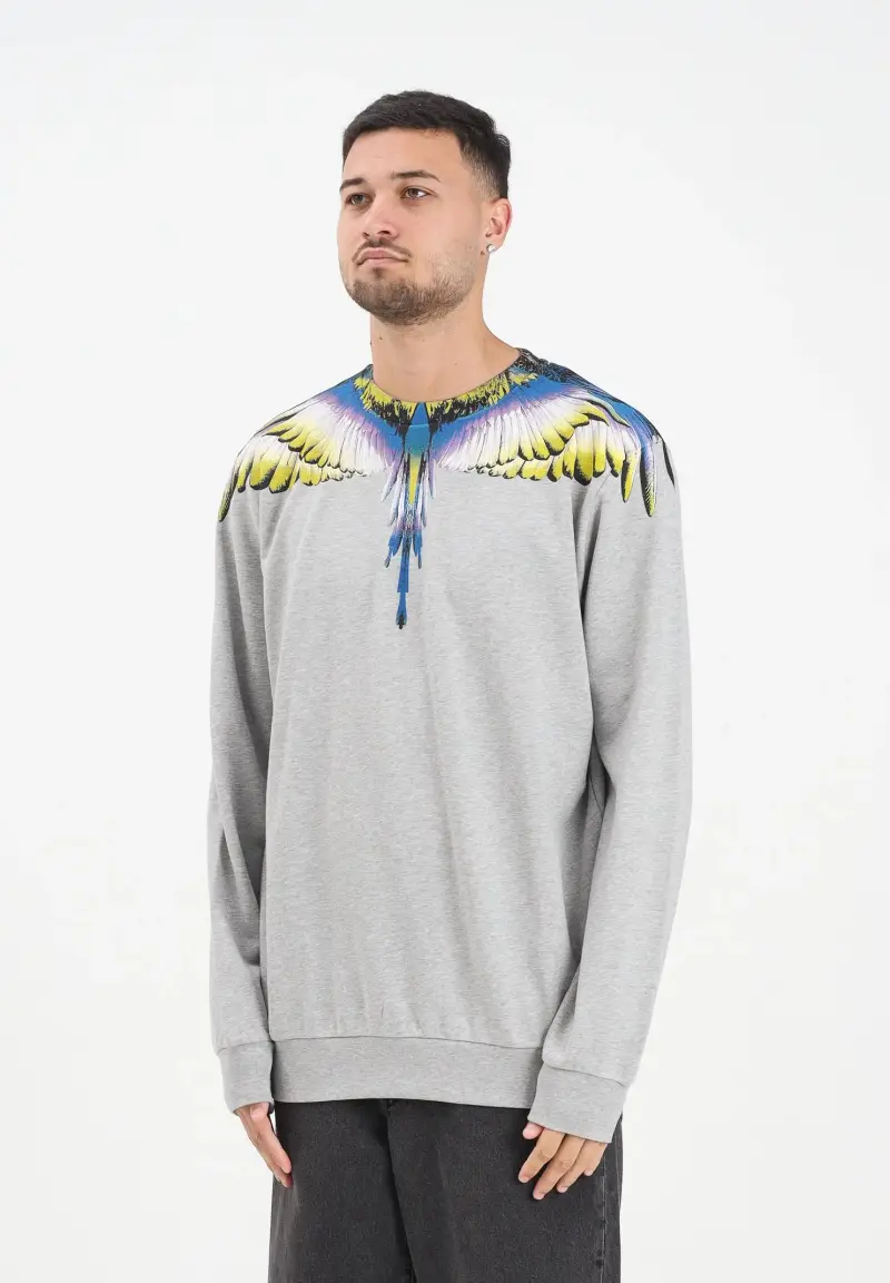 Felpa girocollo grigia da uomo con stampa ali multicolore