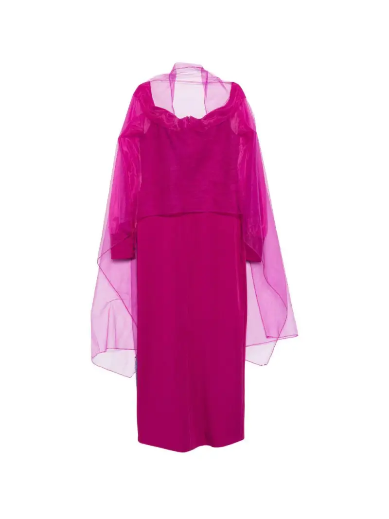 1J2K1CRS00510BUGANVILLA Prugna miniatura 2