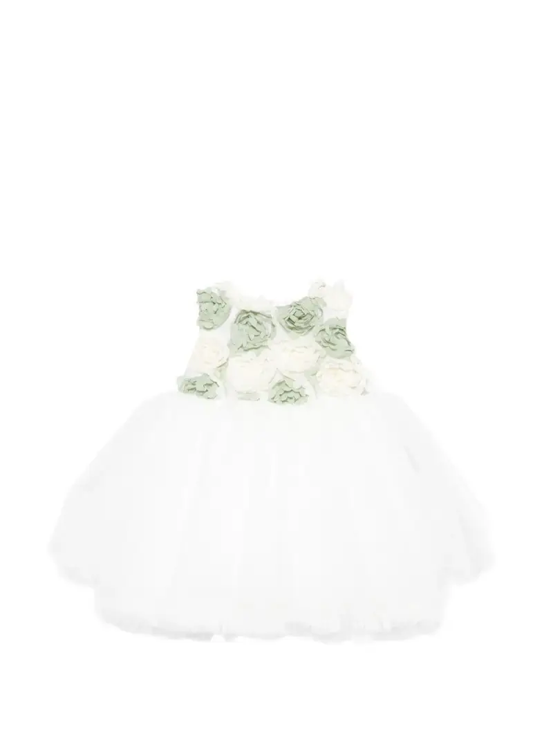 EV305C206 Vaniglia verde