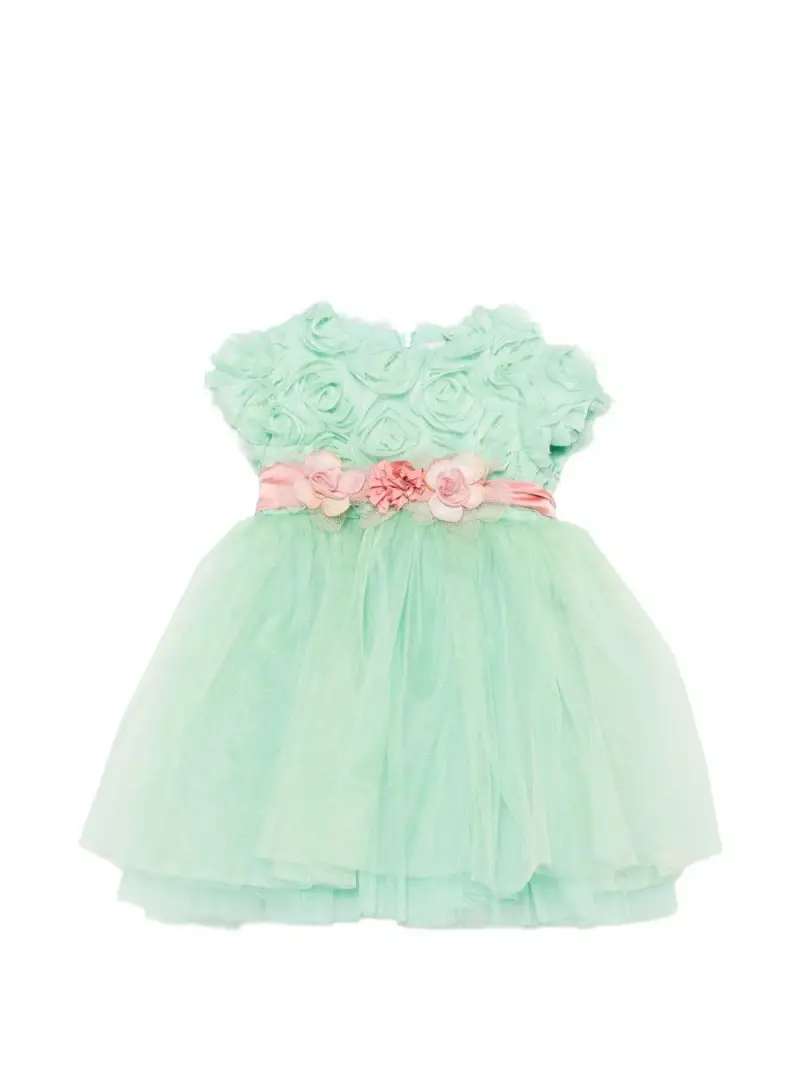 EV330MCC699 Verde marsala