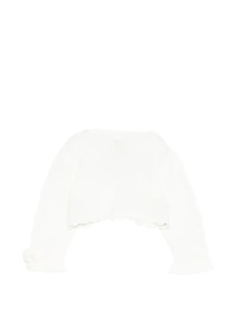 EV339452 Vaniglia miniatura 3