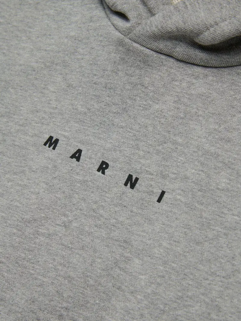 Felpa con cappuccio di cotone Grigio melange miniatura 3