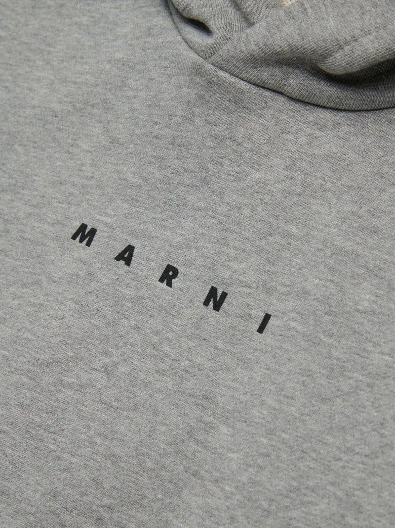 Felpa con cappuccio di cotone Grigio melange miniatura 3