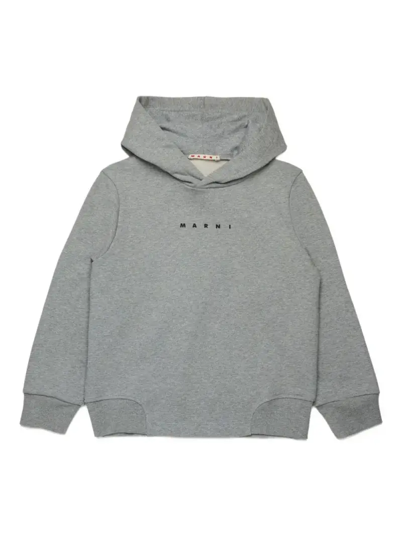 Felpa con cappuccio di cotone Grigio melange