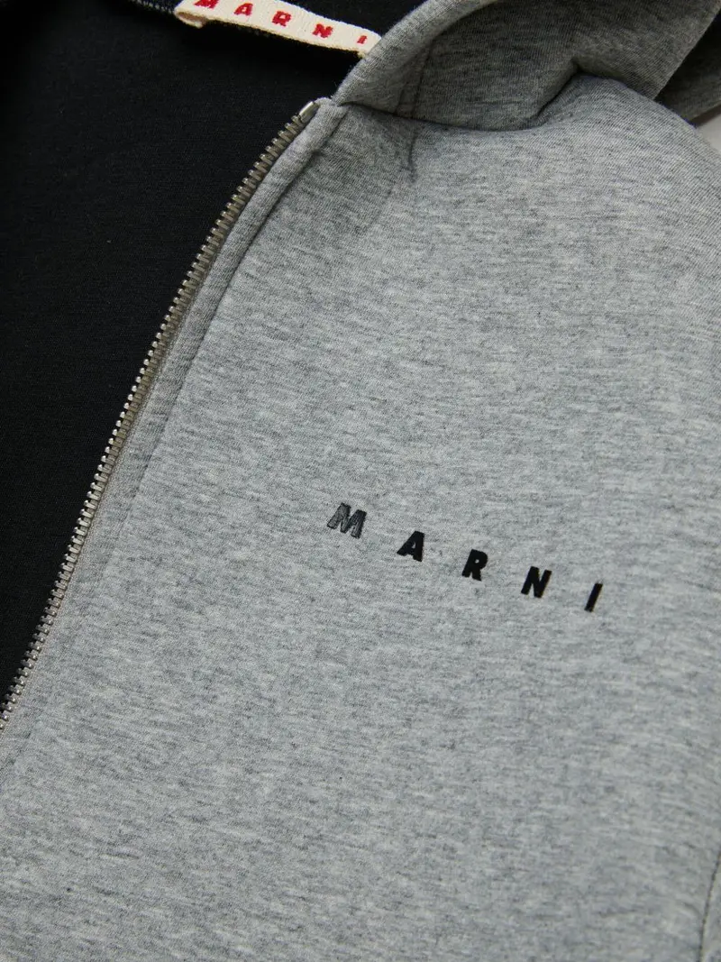 Felpa con cappuccio Grigio melange miniatura 2