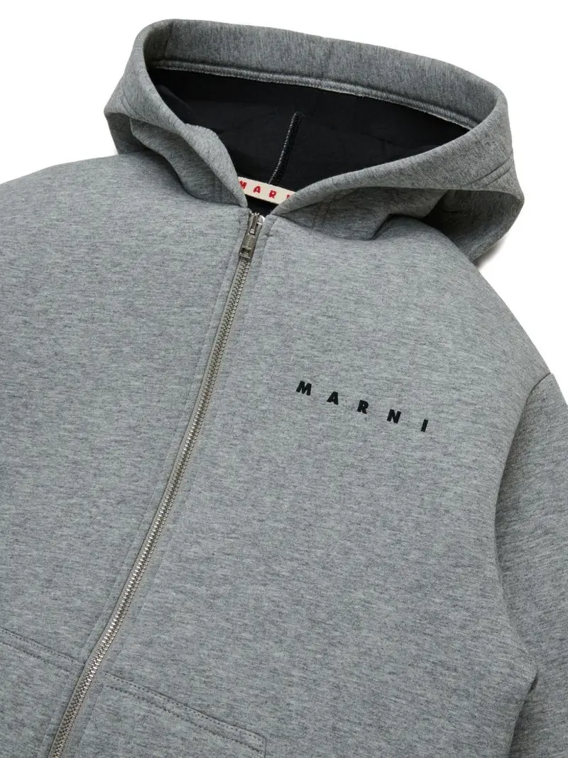 Felpa con cappuccio Grigio melange miniatura 3