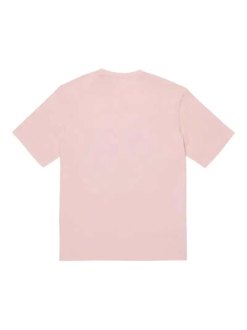 M01672M00HZ0M351 Rosa miniatura 2