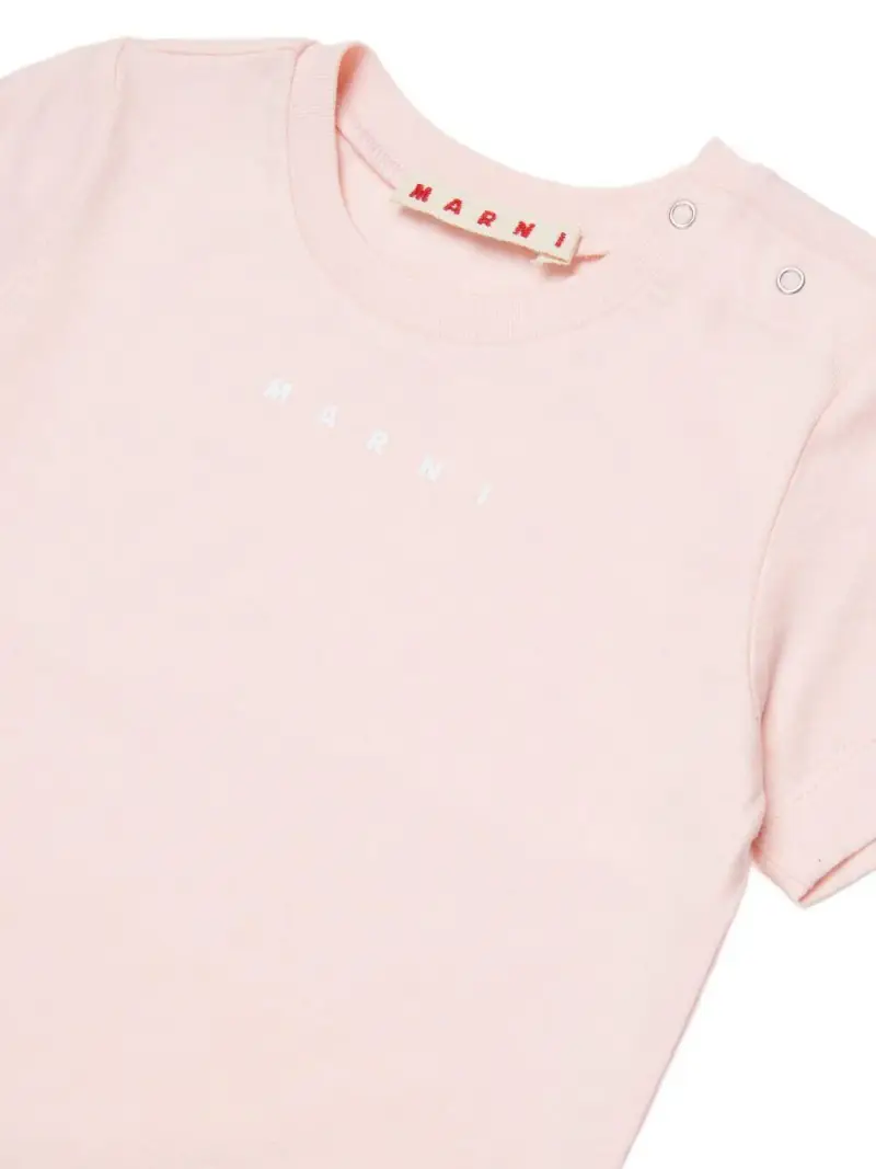 M01785M00RF0M351 Rosa miniatura 3