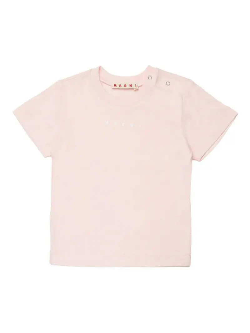 M01785M00RF0M351 Rosa