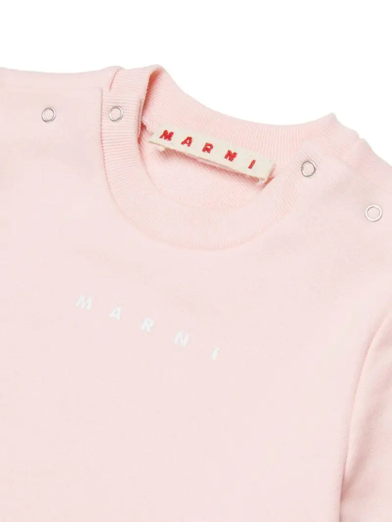 M01802M00V00M351 Rosa miniatura 2