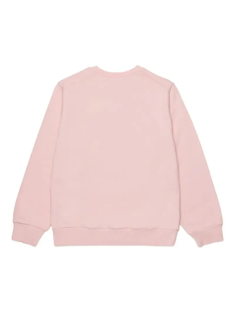 M01814M00V10M351 Rosa miniatura 2