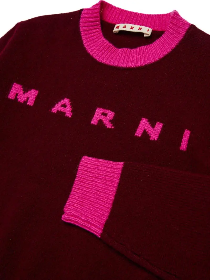 Maglia a collo rotondo frutti di bosco con logo ricamato Marmellata frutti di bosco miniatura 2