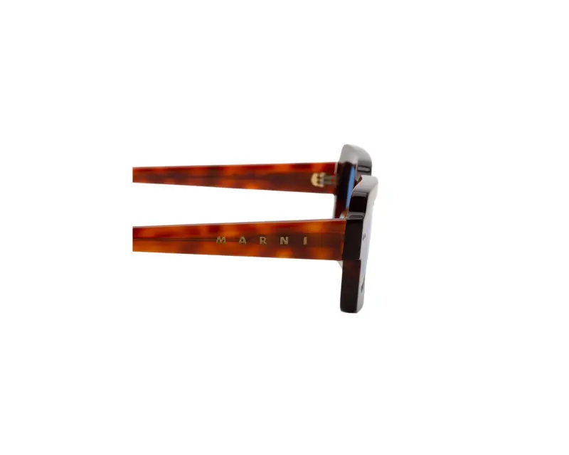 Unisex Lake Vostok Havana Blue EDW Occhiali da sole Acetato Havana Blu Squadrata Normale miniatura 3