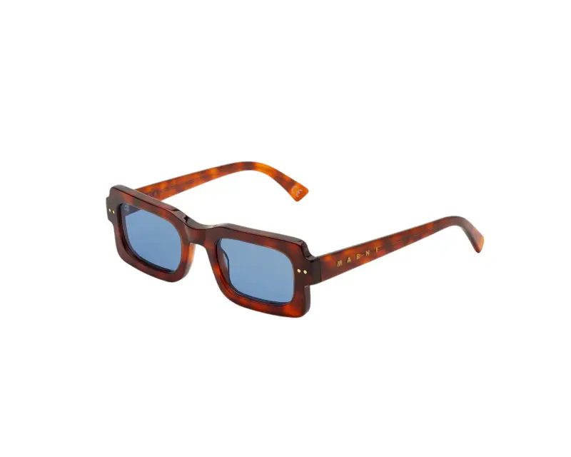 Unisex Lake Vostok Havana Blue EDW Occhiali da sole Acetato Havana Blu Squadrata Normale