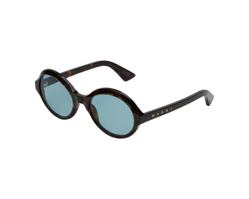 Unisex Marni Z6Z Nozea Dark Havana Occhiali da sole Acetato Havana Azzurro Rotonda Normale