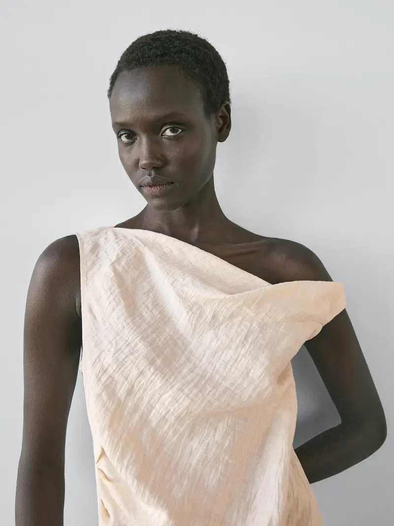 Massimo Dutti Top Beige 4238846