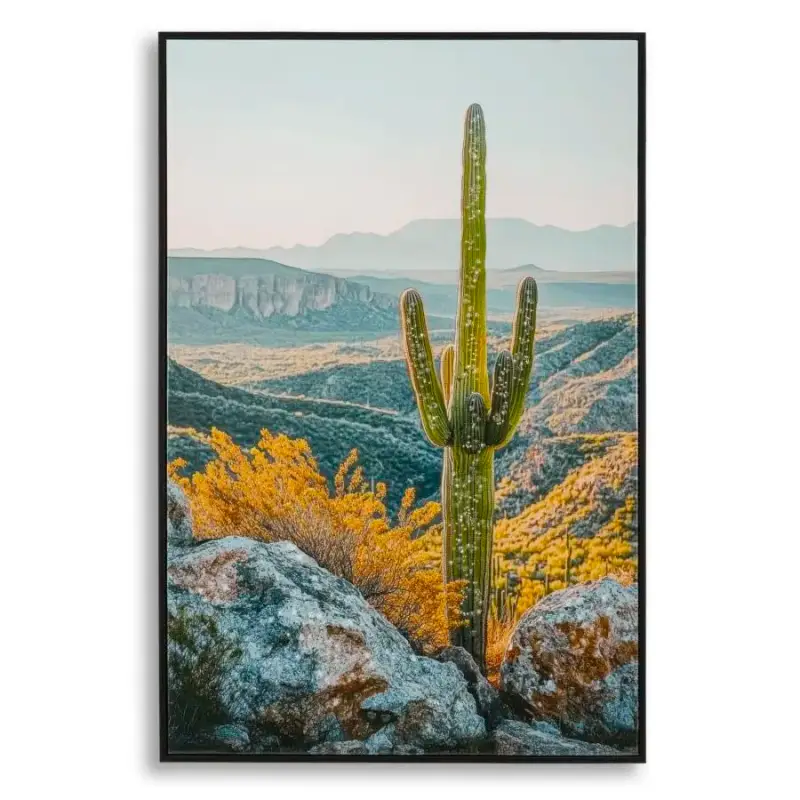 Decorazione murale stampa su stella con cornice cactus B Mauro Ferretti Laccata