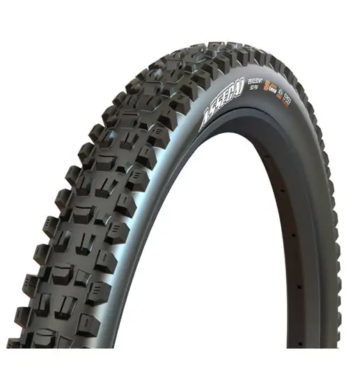 Assegai EXO+ TR 60 TPI - copertone mtb Black