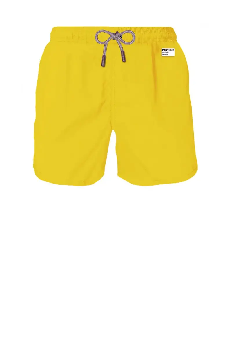 Costume Lighting Pantone