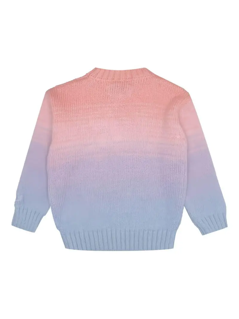 Maglione con Ricamo Effetto Sfumato Multicolor miniatura 2